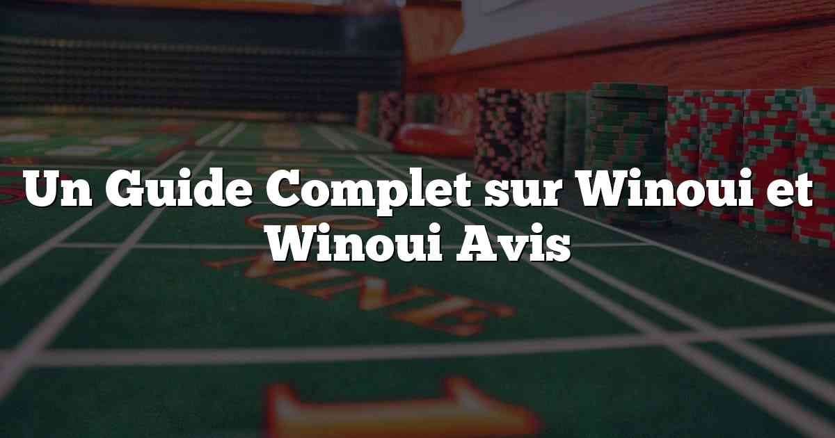 Un Guide Complet sur Winoui et Winoui Avis